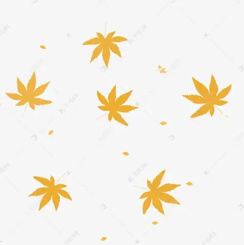 秋季黄色落叶插画