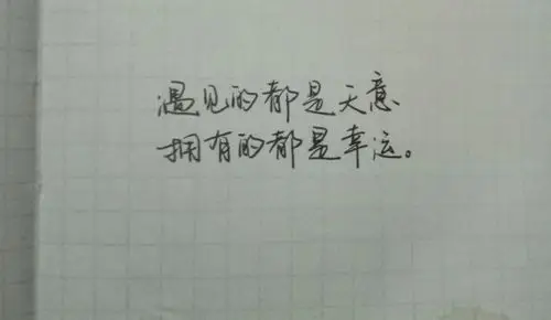 遇见的都是天意