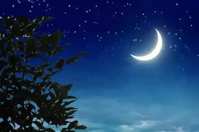 半个月亮爬上来