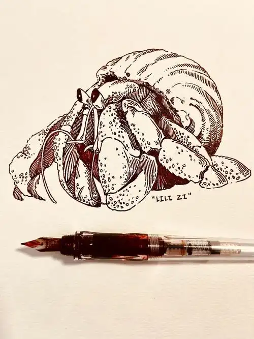 速写分享寄居蟹周六划水精神堡垒