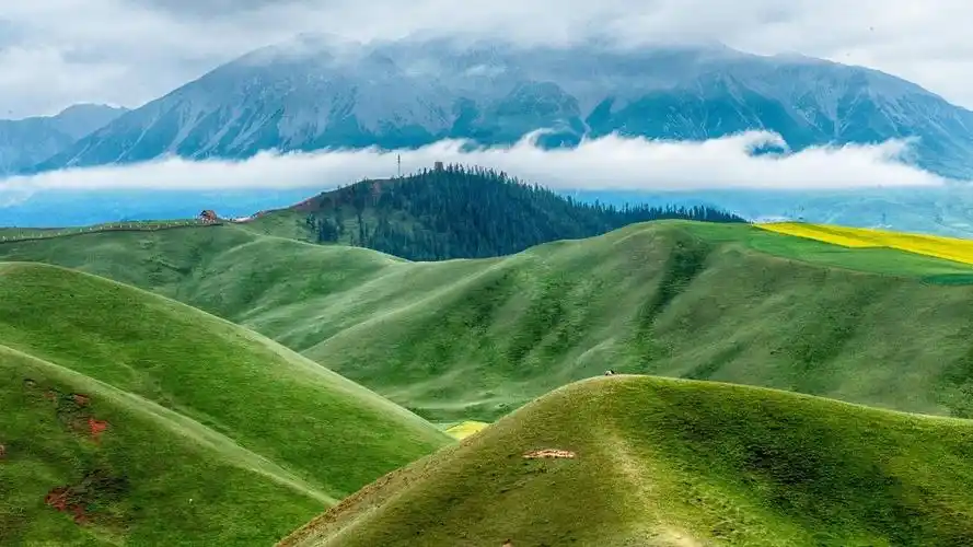 美丽的草原图片(美丽的草原我的家背景图片)