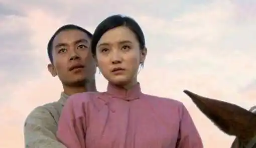 宋佳先分手胡歌好友,后加入5婚导演婚姻,为爱就能当第三者?