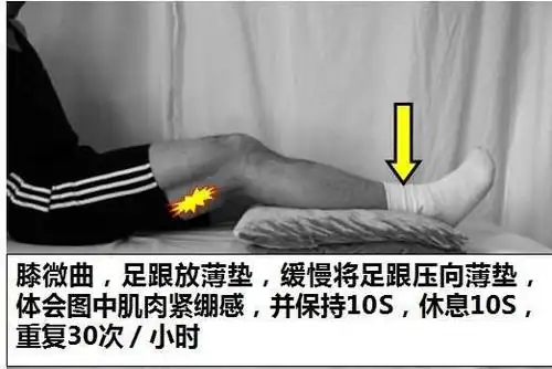 髌骨骨折术后康复训练