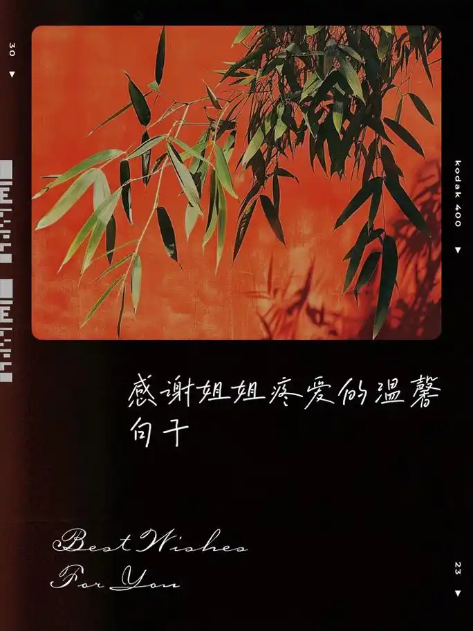 感谢姐姐疼爱的温馨句子 人生路,与你同行最温暖 在岁月的长河里,你