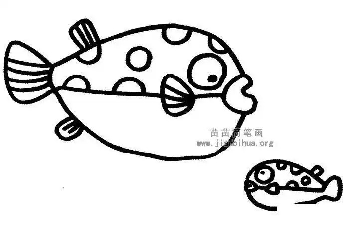 可爱河豚简笔画步骤