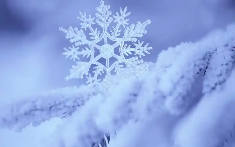 美丽梦幻洁白晶莹雪花高清图片电脑桌面壁纸