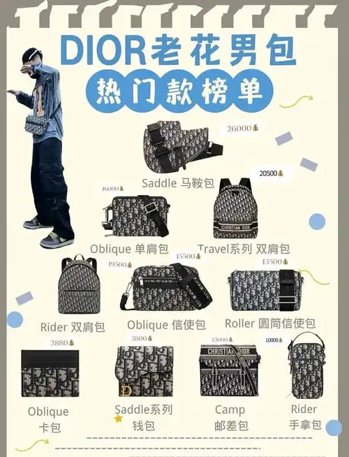 dior迪奥男包热门榜单10