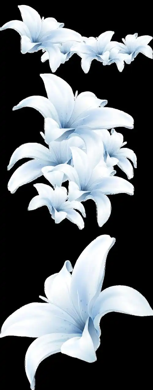 小清新百合花素材设计元素素材免费下载(图片编号:7709572)-六图网