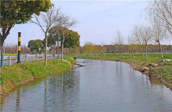 江苏省张家港市杨舍镇南新村