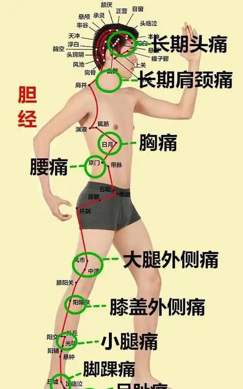 5,胆经疼痛部位4,膀胱经疼痛部位3,肾经疼痛部位2,胃经疼痛部位1,脾经