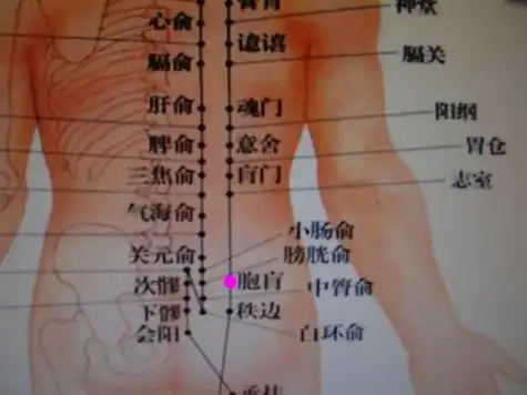 胞盲穴 - 百度百科