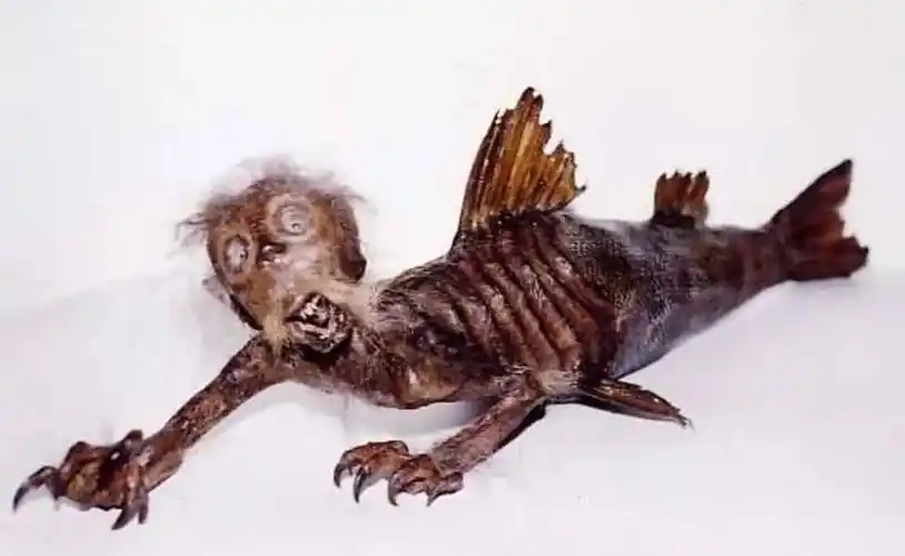 中国5种离奇的神秘生物第3种真实存在仅有两只