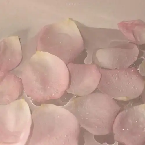 可爱ins粉色系/于是黑夜为强大的白昼所迫,重回黑夜的孤独.