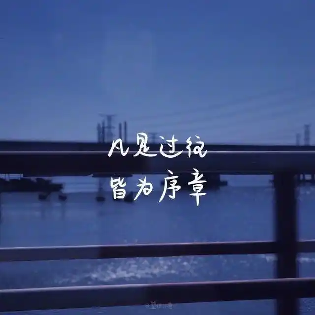 能让自己释怀的心情句子,睿智满满,越看越喜欢