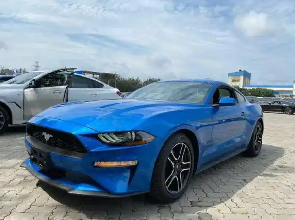 野马最新报价及图片|野马汽车|奔驰|豪车|宝马_网易汽车