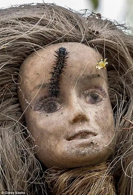 墨西哥恐怖的娃娃森林