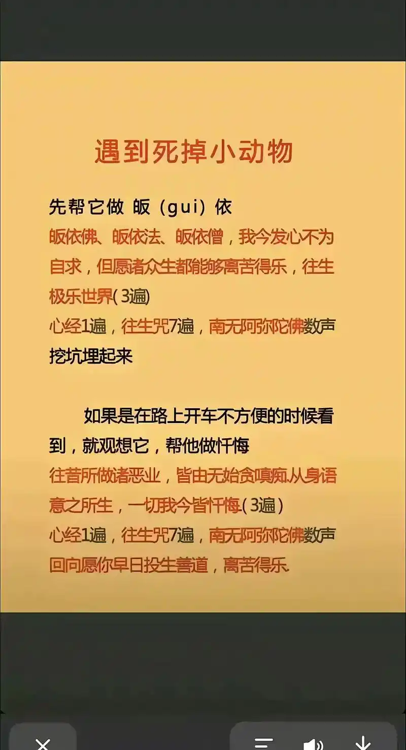遇到死掉小动物,先帮它做皈依.皈依佛,皈依法,皈依僧