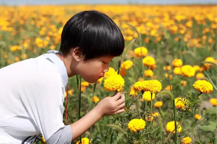小姑娘也被美丽的鲜花吸引,闻着花香,好美