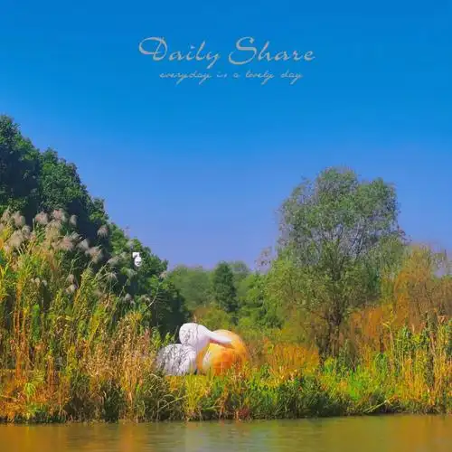 芦苇荡里的世界也很美