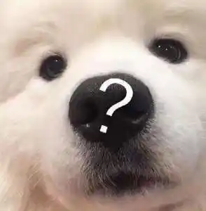 我真傻真的我单知道有多肉植物没想到还有多肉人类