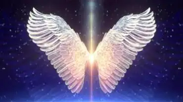 美丽的天使翅膀