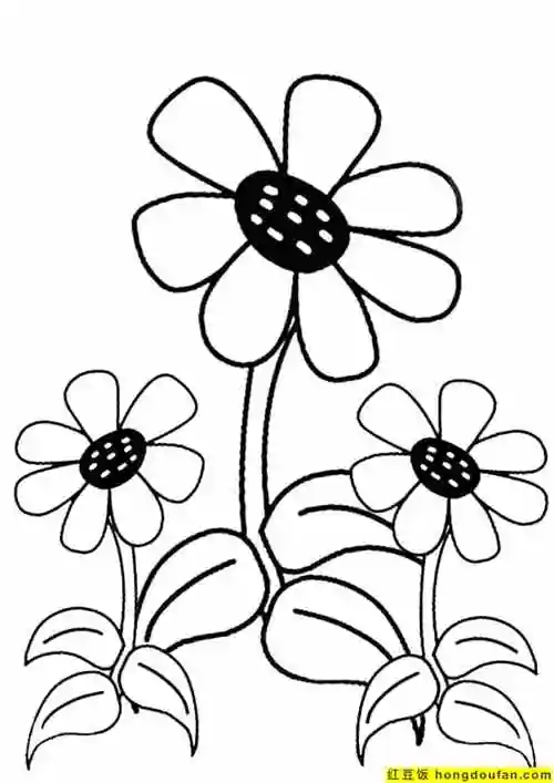 10张仙人掌小红花向日葵郁金香小雏菊可涂色卡通植物简笔画