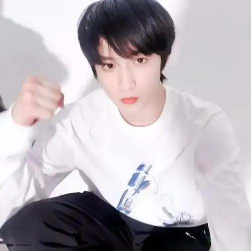 微信头像刘耀文