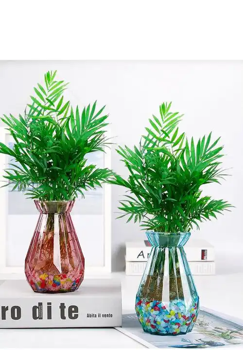 樱之恋水培竹富贵竹水养水培植物室内客厅绿植花卉盆栽5号款套餐组合