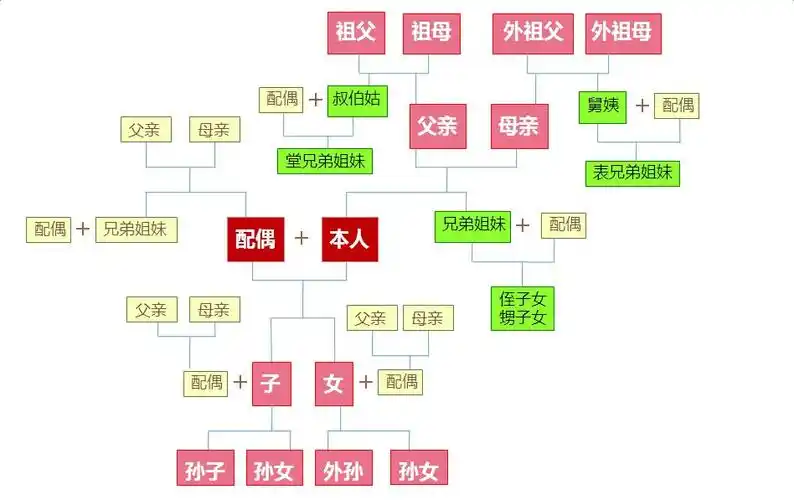 三代以内直系亲属包括哪些人公公婆婆三代以内直系旁系血亲属包括哪些