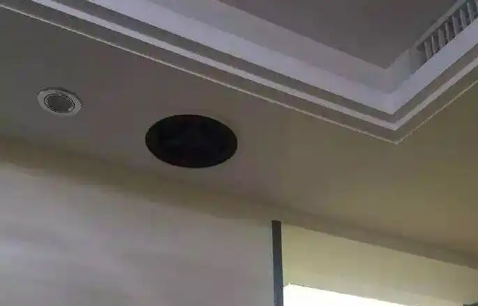 公共广播系统的概述