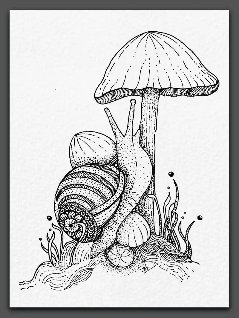 创意儿童画|超赞的黑白装饰画,感受线条的魅力!