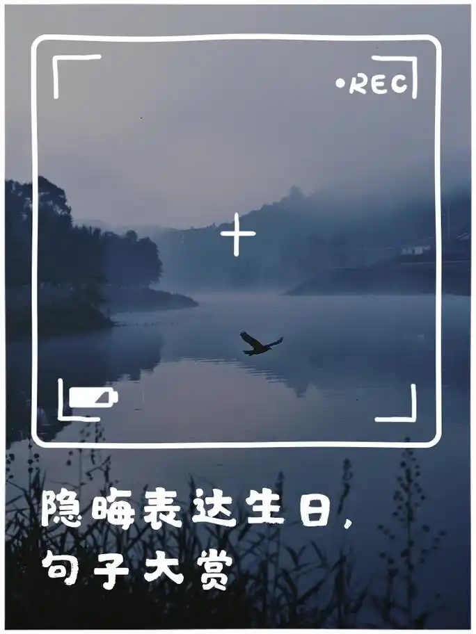 隐晦表达生日,句子大赏