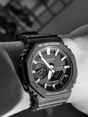 卡西欧黑白ga-2100(农家橡树)