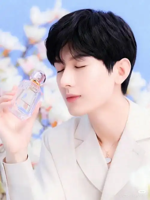 成毅帅哥琉璃太上头是哪些小姐妹爱