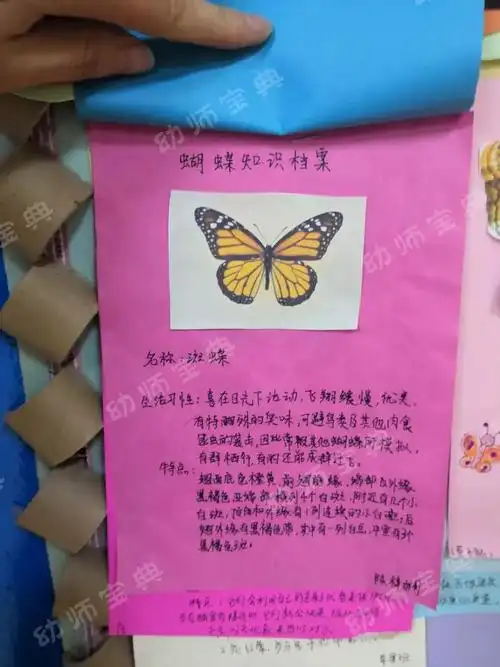 另外,把问题抛给孩子,让孩子求助家长,亲子合作查阅资料建立蝴蝶知识