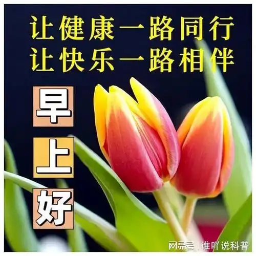 今天最新的早上好问候语精选,每天清晨问个好,活跃心情健大脑