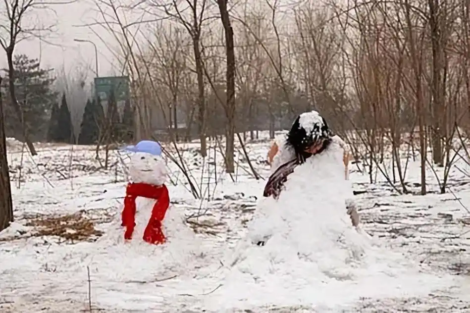 回顾:东北肢体雪人案,四具女性尸体被拼接成雪人,惨案至今未破