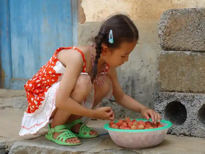 挑杨梅--小女孩