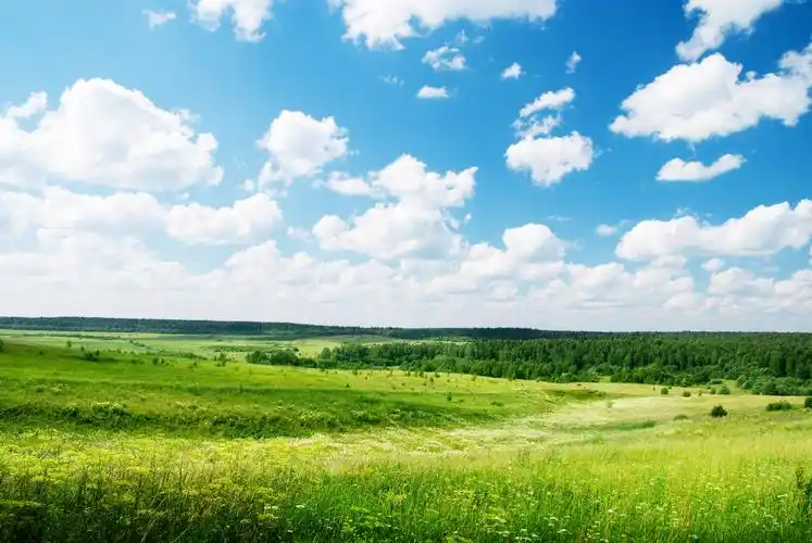 阳光明媚的夏日草地