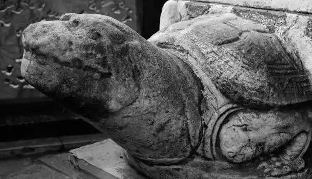 国宝系列故事门口石狮子是什么讲究