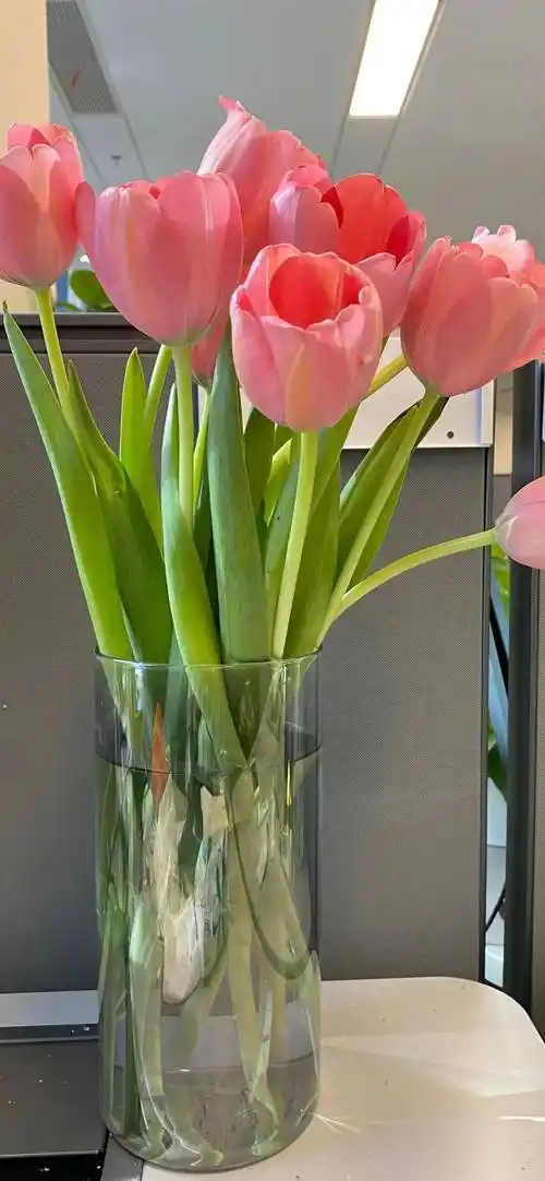 壁纸 | 高清ins氛围感全面屏高级壁纸