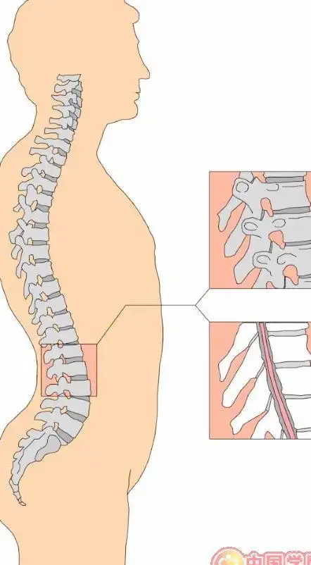 距肛40厘米处是哪个位置示意图