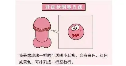 – 柠檬ai自媒体