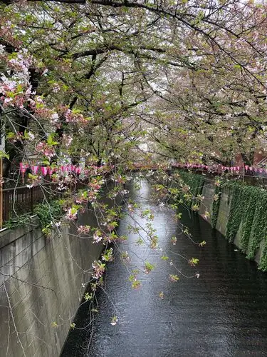 去看看干净的日本