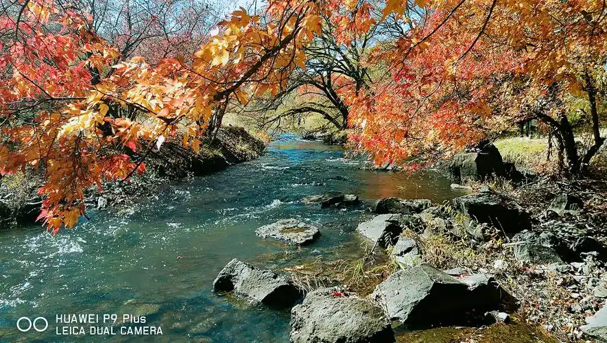 兴安风光——扎赉特旗杨树沟