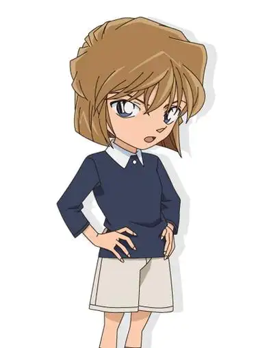 名侦探柯南绀青之拳