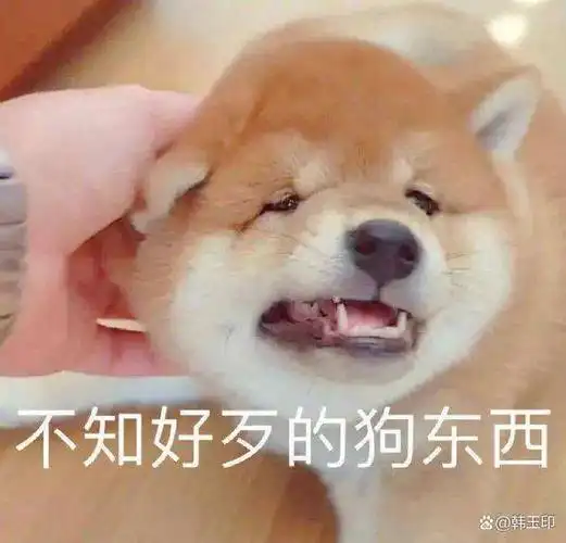 武大郎的驴为什么不喜好人逮