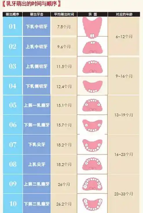 孩子乳牙掉了别再傻傻丢了,储存下来可救命!