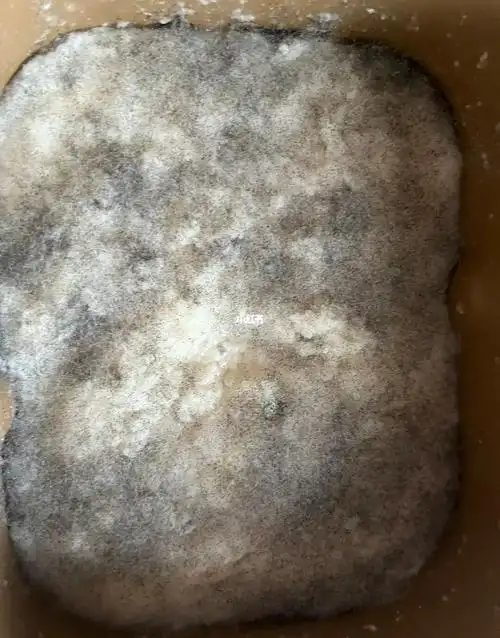 可恶面包机酿米酒大失败