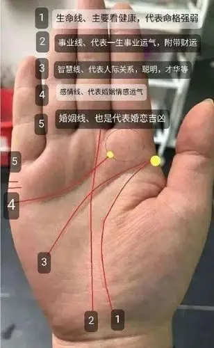 例如看手相,能够预测健康,人际关系,感情等等.